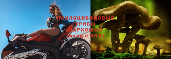 spice Алзамай