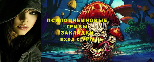 spice Алзамай