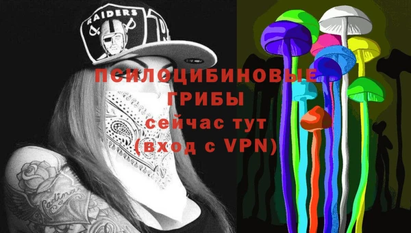 spice Алзамай